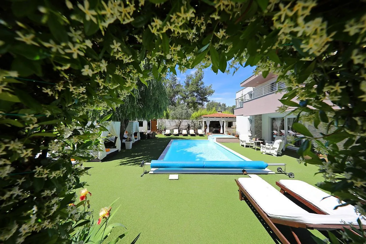 Apartments Mirakul Zadar 0*,  Croatia